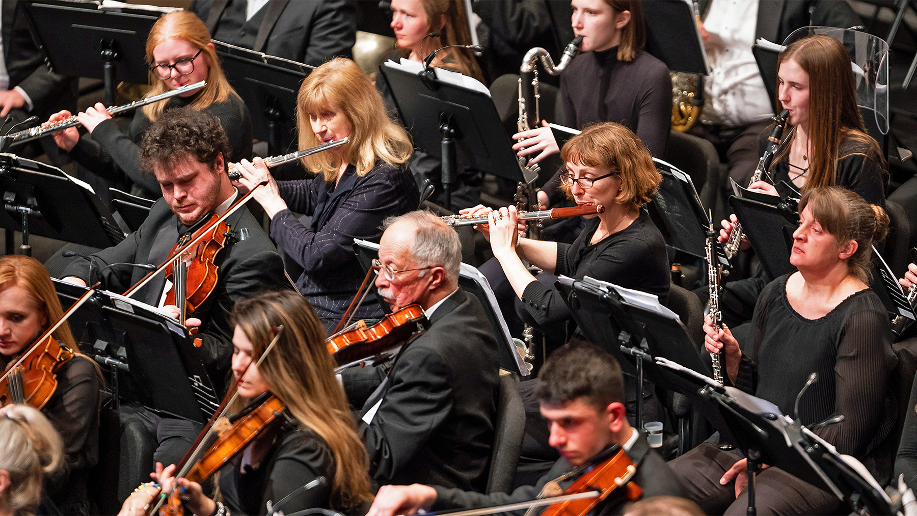 Members of an orchestra are intensely focused while playing various instruments, including violins, a flute, and a clarinet, during a live performance.