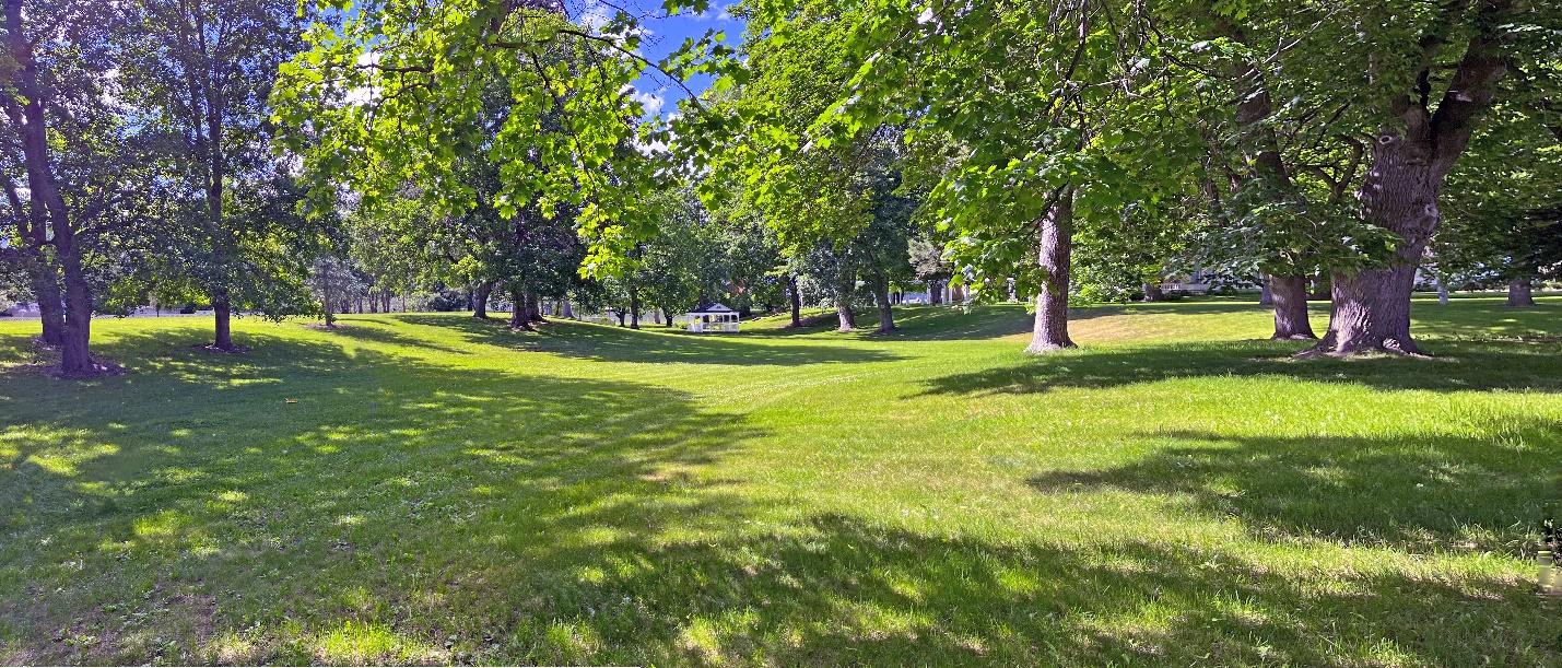 A vibrant green park with lush grass and scattered large trees casting shadows, under a sunny sky.